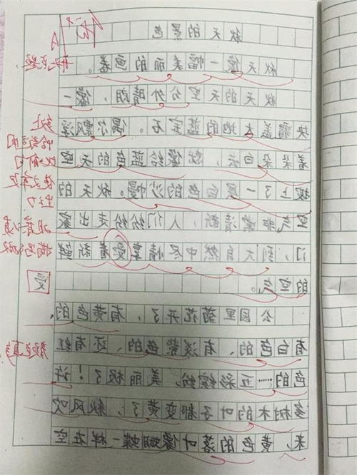 三級語(yǔ)文寫(xiě)秋天校園的作文