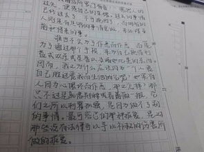 秋景,作文,隨筆,高中