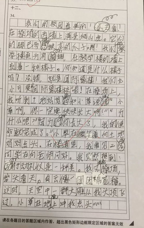 小學(xué)三年級作文我們的校園,我們的校園三年級上冊作文,我們的校園作文300字三年級作文怎么寫