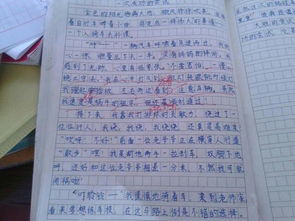 建設節約校園作文400字