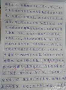 我的校園的作文怎么寫,校園小菜園作文怎么寫,校園的清晨的作文怎么寫