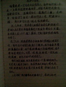 可愛的校園作文400字寫景,我們可愛的校園作文400字,我可愛的校園作文400字4年級(jí)