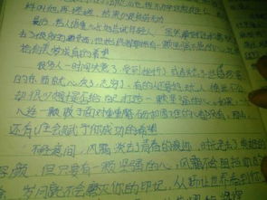 作文,最美,瞬間,尋找