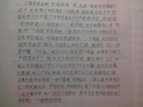 新的校園新的我初一作文