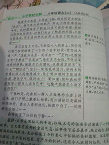 作文,樹(shù)木,校園,百字
