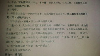 灑滿(mǎn)陽(yáng)光的校園作文600字作文