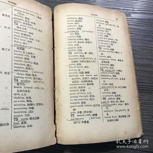 作文,英語,軍校,戀愛