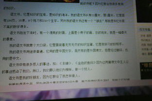 作文,午餐,時(shí)間,校園