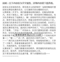 記一次校園活動(dòng)會(huì)400字作文400字