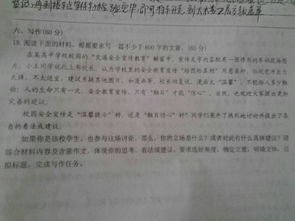 表現校園陽(yáng)光的作文800字