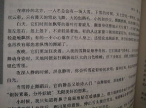 校園升國旗600字作文