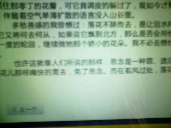 夏天的校園作文300字,夏天的校園作文600字,我的校園作文800字