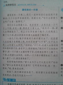 校園里的魚(yú)塘作文200字