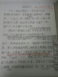 美麗的校園一處100個(gè)字的作文三級