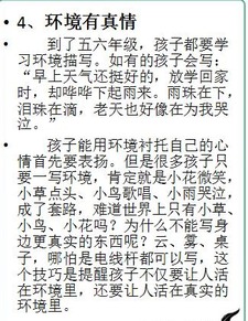 傳統武術(shù)融入校園作文