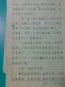 作文,校園生活,字?jǐn)?shù)