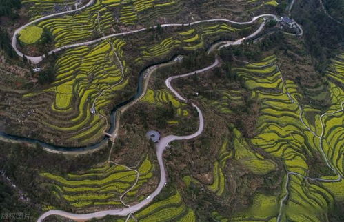 冬季畢棚溝旅游注意事項,冬季峨眉山旅游注意事項,東北冬季旅游注意事項