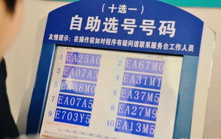 電話(huà)選車(chē)牌號注意事項,南京選車(chē)牌號注意事項,新手選車(chē)牌號注意事項