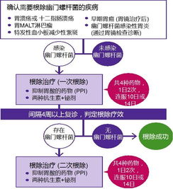 幽門(mén)螺桿菌怎么治療和注意事項