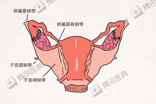 30歲切除子宮注意事項