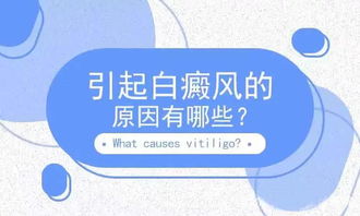 夏季白殿瘋注意事項