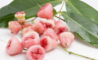 樂(lè )沙定化療后注意事項