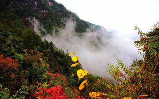 爬山,注意事項,大明山