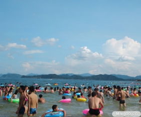 游泳五大注意事項,游泳安全注意事項,游泳時(shí)的注意事項