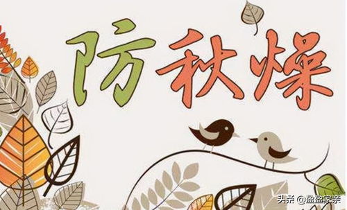 注意事項,秋天,運動