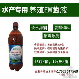 注意事項,em