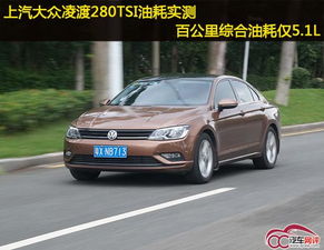 停車(chē),注意事項,凌渡,dsg