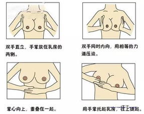 胸部,注意事項