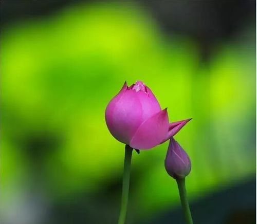 兩張紙幣的愛情（感動好文！）