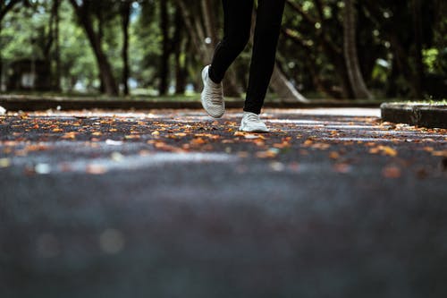 五年級讀后感西游記讀后感3
