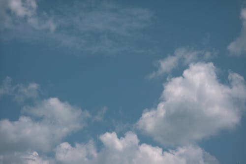連載中龍神殿小說(shuō)林龍傲楚鳳花章節閱讀