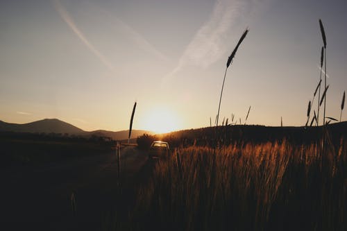 立冬快樂(lè )的祝福語(yǔ)集合41條