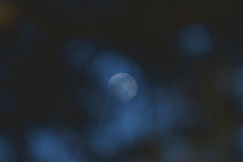 優(yōu)美的大暑祝福語(yǔ)摘錄81句