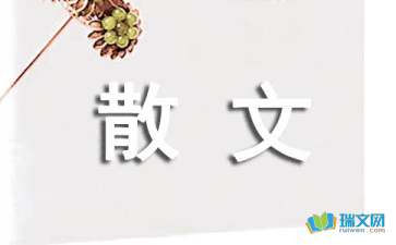 兒子我想對(duì)你說(shuō)隨筆散文