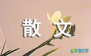 散文隨筆精選