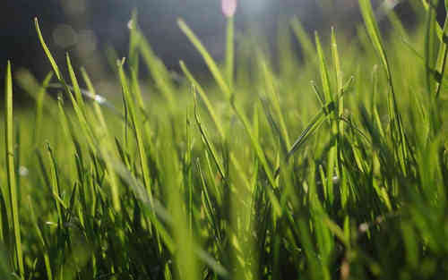 適合發(fā)朋友圈超霸氣的經(jīng)典句子(73條) 適合發(fā)朋友圈超霸氣的經(jīng)典句子(73條)