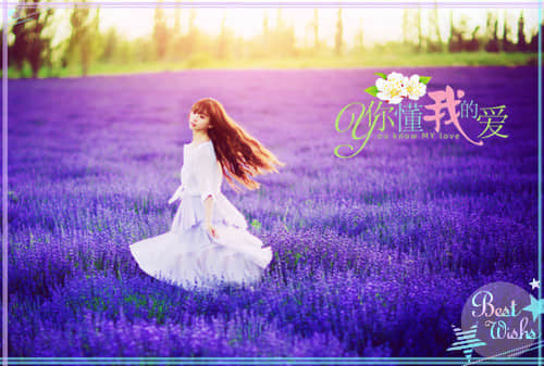 經(jīng)典語錄2019：所有遺憾都是為未來的幸福做鋪墊