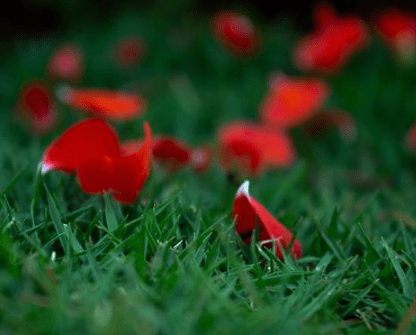 微信走心的經(jīng)典說說（70條）