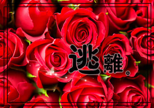 適合發(fā)朋友圈的經(jīng)典語錄大全傷感（55條）