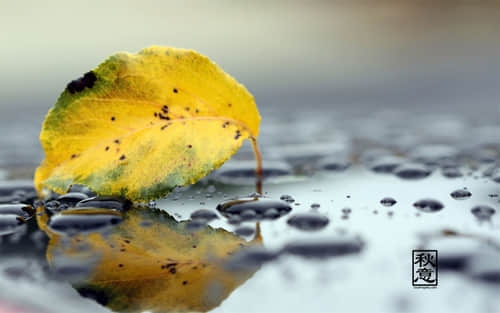 qq空間經(jīng)典說說 每一句都精辟入骨（56條）