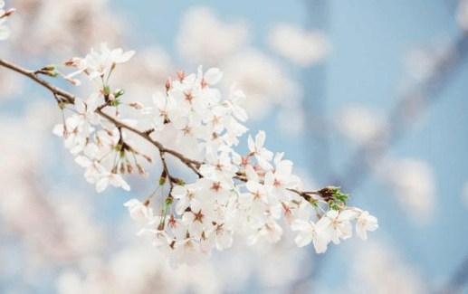 2019心靈雞湯的經(jīng)典說(shuō)說(shuō)（41條）