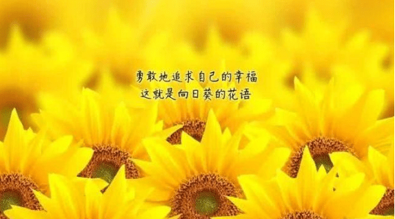 成長孤單的經(jīng)典說說（48條）