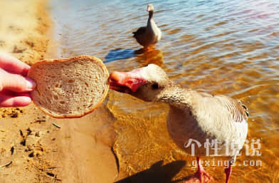 被生活壓抑的好累經(jīng)典說(shuō)說(shuō)（60條）