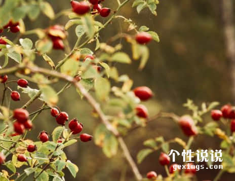 67條深刻有內涵的經(jīng)典說(shuō)說(shuō)