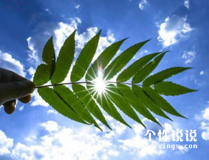 空間5月觸動(dòng)心靈的經(jīng)典說(shuō)說(shuō)（53條）
