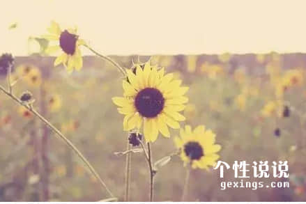關(guān)于人生成長(cháng)心靈雞湯的經(jīng)典說(shuō)說(shuō)